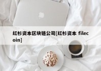 红杉资本区块链公司[红杉资本 filecoin]